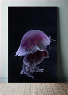 Πίνακας, Graceful Jellyfish Χαριτωμένη μέδουσα