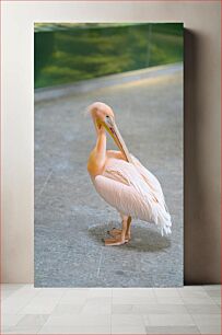 Πίνακας, Graceful Pelican Χαριτωμένος πελεκάνος