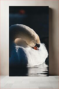 Πίνακας, Graceful Swan in Reflection Χαριτωμένος Κύκνος στην Αντανάκλαση