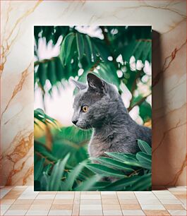 Πίνακας, Gray Cat Among Green Leaves Γκρίζα γάτα ανάμεσα σε πράσινα φύλλα