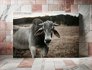 Πίνακας, Grazing Cow in Field Βόσκουσα αγελάδα στο χωράφι