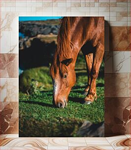 Πίνακας, Grazing Horse in Nature Άλογο που βόσκει στη φύση