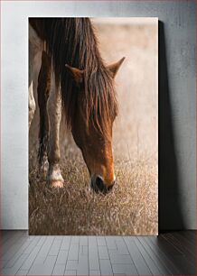 Πίνακας, Grazing Horse Άλογο που βόσκει