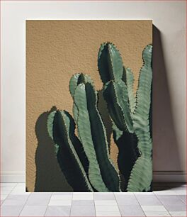 Πίνακας, Green Cactus against Beige Background Πράσινος κάκτος σε μπεζ φόντο