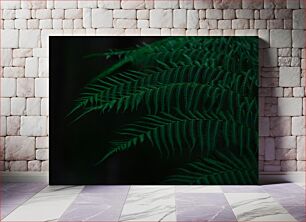 Πίνακας, Green Fern Leaves Πράσινα φύλλα φτέρης