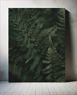 Πίνακας, Green Fern Leaves Πράσινα φύλλα φτέρης