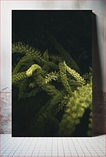 Πίνακας, Green Foliage in Darkness Πράσινο φύλλωμα στο σκοτάδι