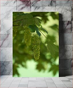 Πίνακας, Green Leaves and Blossoms Πράσινα φύλλα και άνθη