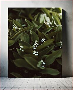 Πίνακας, Green Leaves and White Flowers Πράσινα φύλλα και λευκά άνθη