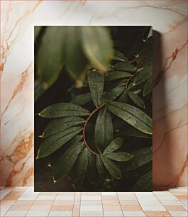 Πίνακας, Green Leaves with Water Droplets Πράσινα φύλλα με σταγονίδια νερού