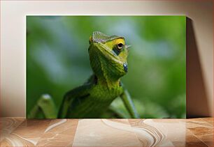 Πίνακας, Green Lizard in Nature Πράσινη Σαύρα στη Φύση