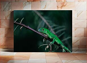 Πίνακας, Green Lizard on a Branch Πράσινη σαύρα σε ένα κλαδί