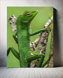 Πίνακας, Green Lizard on a Branch Πράσινη σαύρα σε ένα κλαδί