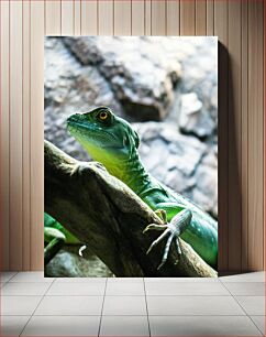 Πίνακας, Green Lizard on Branch Green Lizard on Branch