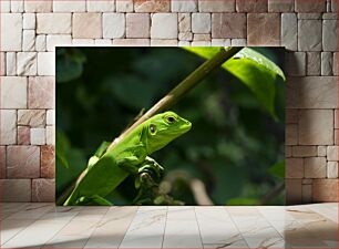 Πίνακας, Green Lizard on Branch Green Lizard on Branch