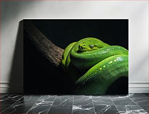 Πίνακας, Green Snake on Branch Green Snake on Branch