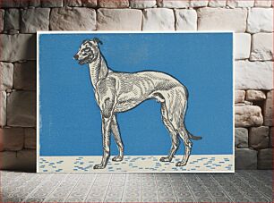 Πίνακας, Greyhound (1912) by Moriz Jung