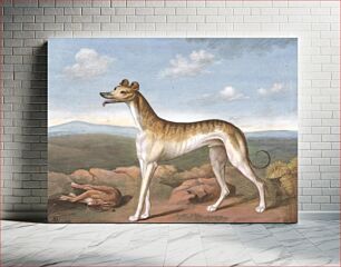 Πίνακας, Greyhound: Facing Left, with a Dead Hare at His Feet