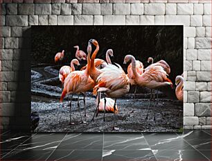 Πίνακας, Group of Flamingos Ομάδα Φλαμίνγκο