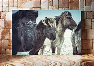 Πίνακας, Group of Horses in Snowy Landscape Ομάδα αλόγων στο χιονισμένο τοπίο