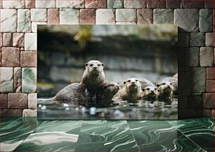 Πίνακας, Group of Otters in Water Ομάδα ενυδρίδων στο νερό