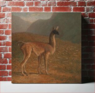 Πίνακας, Guanaco