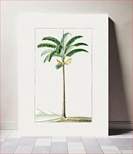 Πίνακας, Hand drawn palm tree