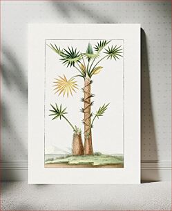 Πίνακας, Hand drawn palm tree