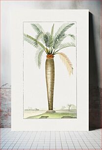 Πίνακας, Hand drawn palm tree