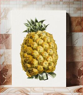 Πίνακας, Hand drawn pineapple