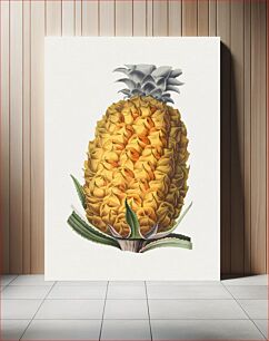 Πίνακας, Hand drawn pineapple