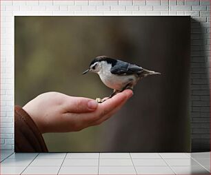 Πίνακας, Hand Feeding a Bird Χέρι που ταΐζει ένα πουλί