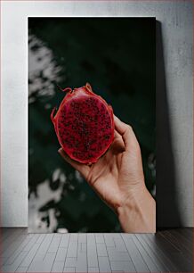 Πίνακας, Hand Holding a Dragon Fruit Χέρι που κρατά ένα φρούτο δράκου