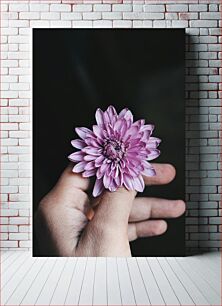 Πίνακας, Hand Holding a Purple Flower Χέρι που κρατά ένα μωβ λουλούδι