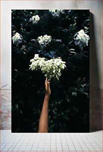 Πίνακας, Hand Reaching for White Flowers Απλώστε τα χέρια για λευκά λουλούδια