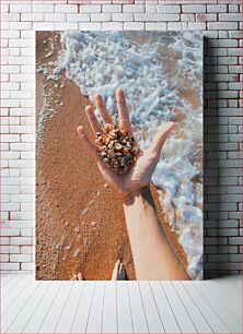 Πίνακας, Handful of Seashells by the Beach Χούφτα κοχύλια δίπλα στην παραλία