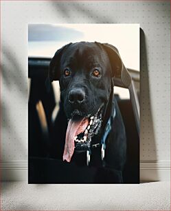 Πίνακας, Happy Dog in Car Happy Dog in Car
