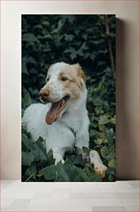 Πίνακας, Happy Dog in Greenery Happy Dog in Greenery