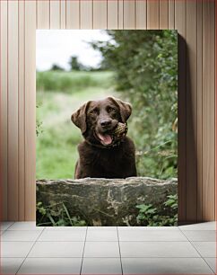 Πίνακας, Happy Dog in Nature Happy Dog in Nature