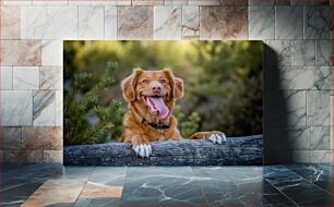 Πίνακας, Happy Dog in the Outdoors Happy Dog in the Outdoors