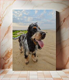 Πίνακας, Happy Dog on the Beach Happy Dog on the Beach