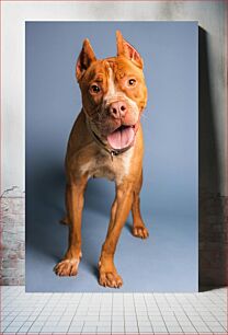 Πίνακας, Happy Dog Portrait Ευτυχισμένο πορτρέτο σκύλου