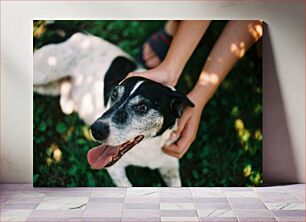 Πίνακας, Happy Dog with Owner Ευτυχισμένος σκύλος με τον ιδιοκτήτη