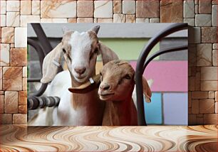 Πίνακας, Happy Goats in a Colorful Setting Happy Goats σε ένα πολύχρωμο σκηνικό