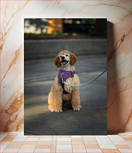 Πίνακας, Happy Poodle in Purple Harness Happy Poodle με μωβ λουρί