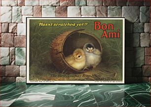 Πίνακας, Hasn't scratched yet!!! Bon Ami, the best scouring soap made