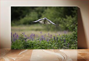 Πίνακας, Hawk in Flight over a Field Γεράκι σε πτήση πάνω από ένα χωράφι