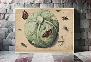 Πίνακας, Head of Cabbage with Insects (early 17th century) by Netherlandish 17th Century