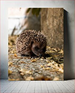 Πίνακας, Hedgehog in Autumn Σκαντζόχοιρος το Φθινόπωρο