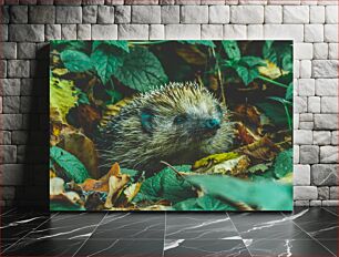 Πίνακας, Hedgehog in Foliage Σκαντζόχοιρος στο Φύλλωμα